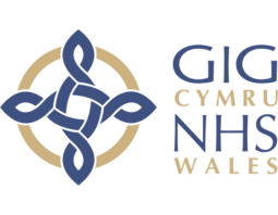 Website Design GP practice